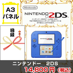 ニンテンドー2DS 景品パネル&引換券付き目録