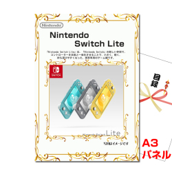 NEW ニンテンドー3DSLL 景品パネル&引換券付き目録