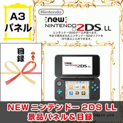 NEW ニンテンドー2DS 景品パネル&引換券付き目録