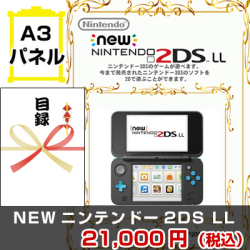 NEW ニンテンドー2DS 景品パネル&引換券付き目録