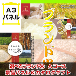 選べるブランド米Aコース 景品パネル&カタログギフト付き目録
