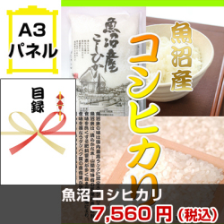 魚沼産コシヒカリ 景品パネル&引換券付き目録