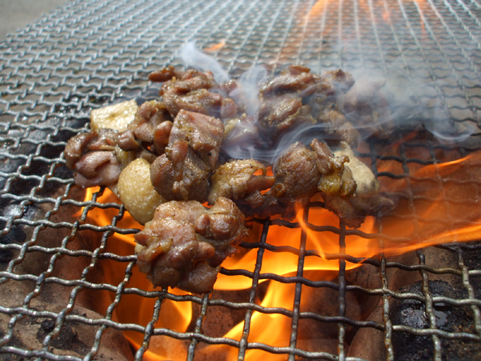 宮崎「日向屋」鶏炭火焼