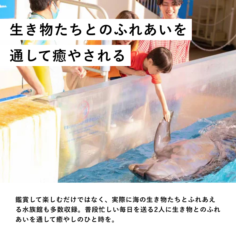 選べる!全国水族館ペアチケット景品パネル&引換券付き目録